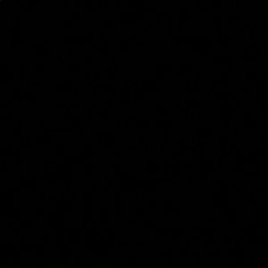 Meet your Posher, Robby